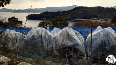 デコ330の屋根掛け2026